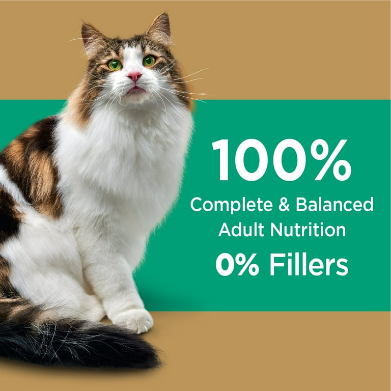 Iams cat outlet food best price