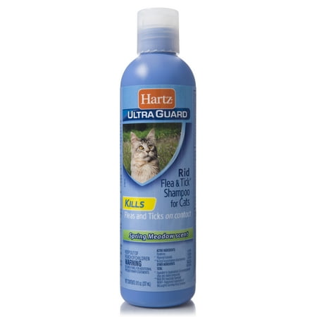 Hartz UltraGuard Rid Flea & Tick Shampoo for Cats, 8 (Best Medicine To Get Rid Of Fleas On Cats)