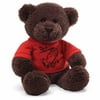 Toy-Plush-Instant Message Bear-Brown (12")