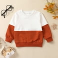 thumbnail image 2 of HCNTES Toddler Baby Boy Fall Winter Clothes Color Block Long Sleeve Crewneck Sweatshirt Oversize Pullover Casual Outfit(6-12 Months,G174-Brown), 2 of 5