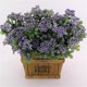 thumbnail image 2 of 2x Artificial Fruit Bouquet For Wedding Flowers Window Box Office Decor 5 Colors, 2 of 5