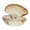 Champagne, variant on AOOOWER Beautiful Handcrafted Crystal Shell Figurine Decorative Seashells Decoration For Modern Home Interior Designs