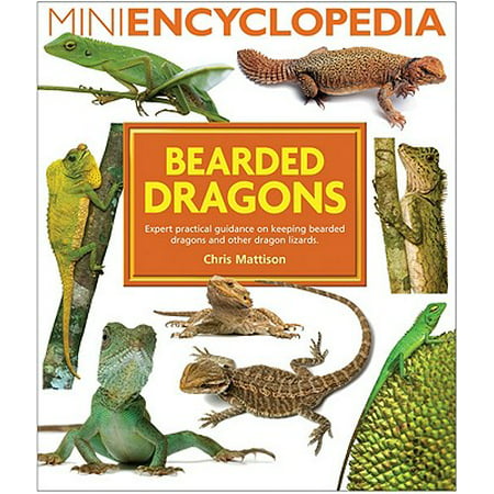 Bearded Dragons : Expert Practical Guidance on Keeping Bearded Dragons and Other Dragon (Best Lizards To Keep As Pets)