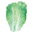 thumbnail image 2 of Disfraz de comida para adultos Sunnimix Unisex Encantador Fiesta temática Verduras, 2 of 7