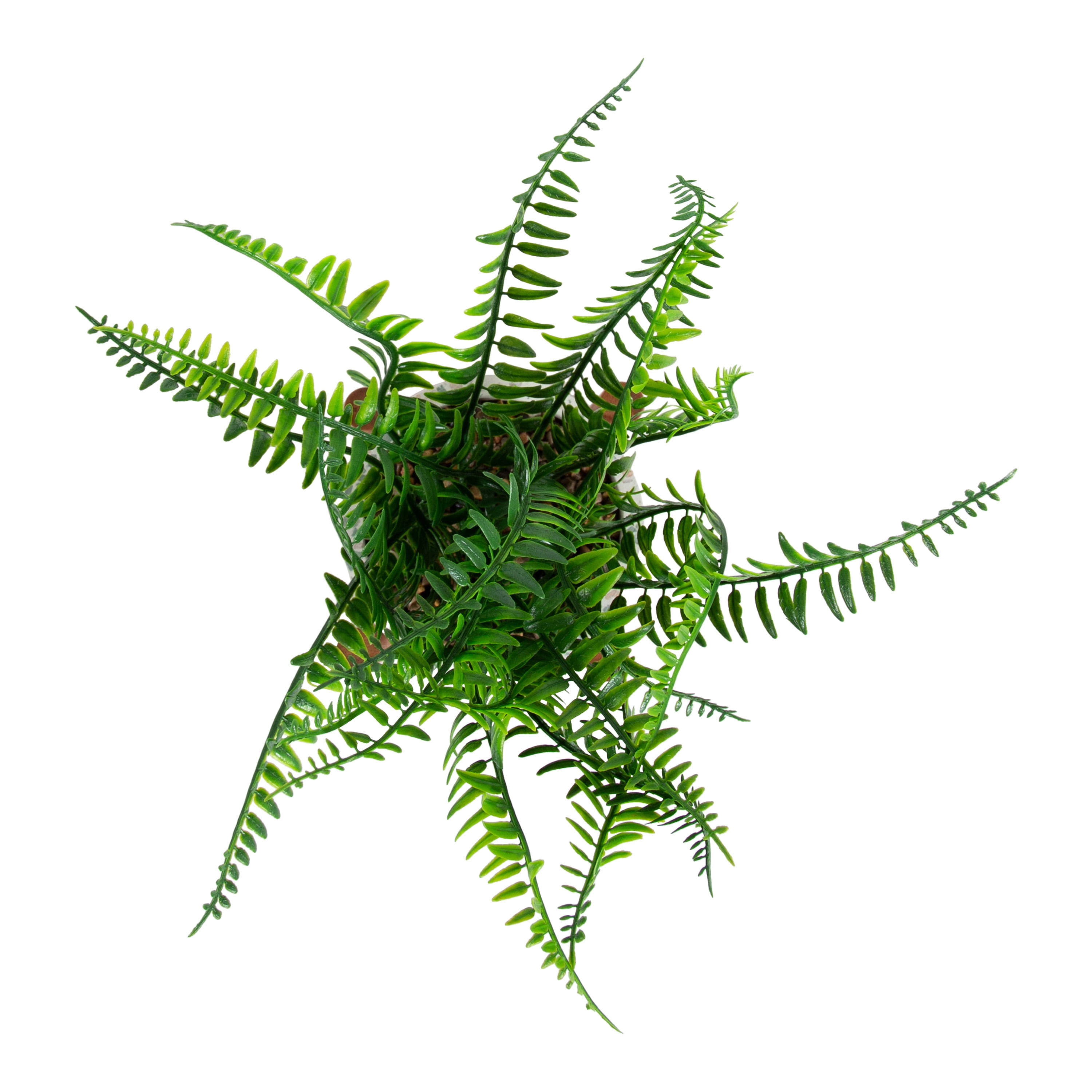 Design Ovation 10.5” x 3.875” Artificial Fern in Terrazo w/ Wooden Stand Plant Container