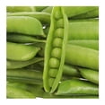 thumbnail image 2 of Chícharo en Vaina Frutas y Verduras Frescas Por Kilo, 2 of 5