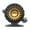 Gold, variant on SPRING PARK 6+1 Ball Level Wind Trolling Reel With Line Counter Saltwater Boat Fishing Reels