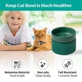 thumbnail image 5 of Elevated Cat Food Bowl Widen Raised Cat Food Dishes for Protecting Spine, Reliefing Whisker Fatiguegreen, 5 of 6