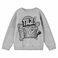 thumbnail image 3 of Looney Tunes Taz Character Art Crew Neck Long Sleeve Athletic Heather Boy's Sweatshirt-Small, 3 of 5