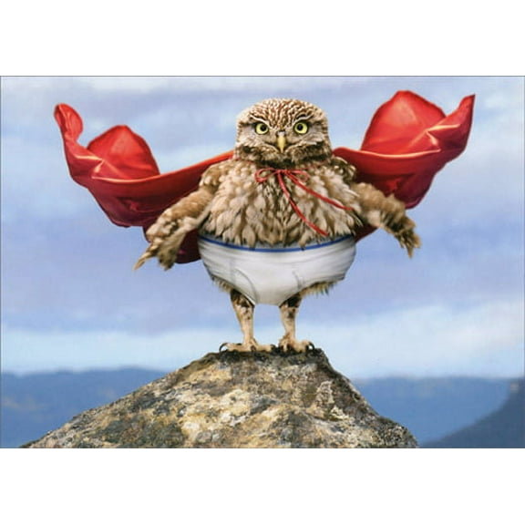 Avanti Press Owl Superhero with Cape Humorous / Funny Birthday Card