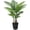 Black-6ft, variant on 6FT Artificial Palm Tree, Tall Faux Palm Tree Indoor with Fake Plants Tall, Artificial Plants with Lifelike Leaves for Home Office Decor (White)