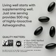thumbnail image 4 of Sports Research® Ashwagandha 500mg - Natural Stress & Anxiety Support Supplement (60 Veggie Softgels), 4 of 7