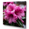 thumbnail image 2 of Designart "Beauty of Rhododendrons in Purple" Floral Wall Art - Traditional Purple Rhododendron Bedroom Canvas Wall Art, 2 of 6