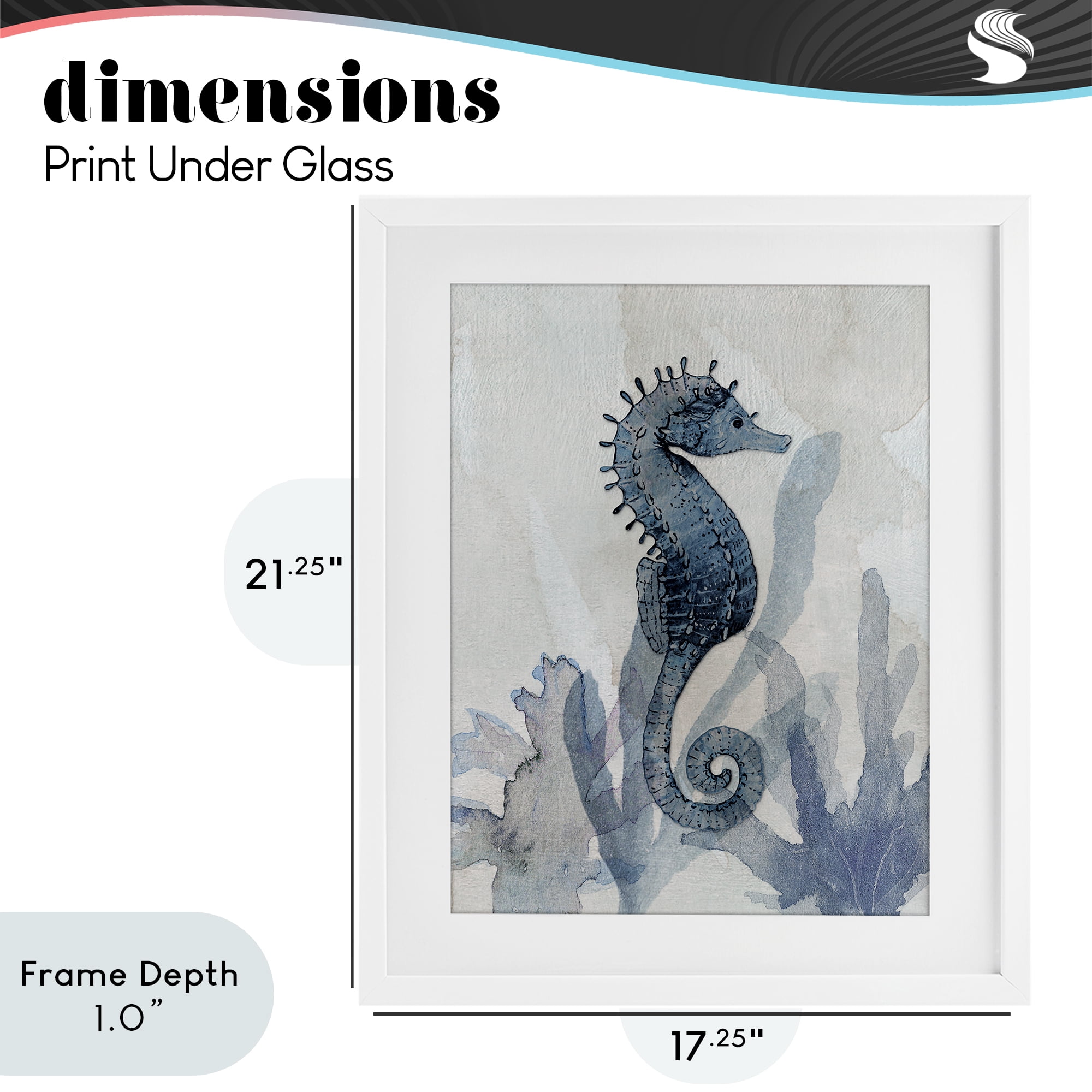 Stupell Industries Seahorse & Seaweed Impressions White Framed Print Under Glass, design by Susan Jill