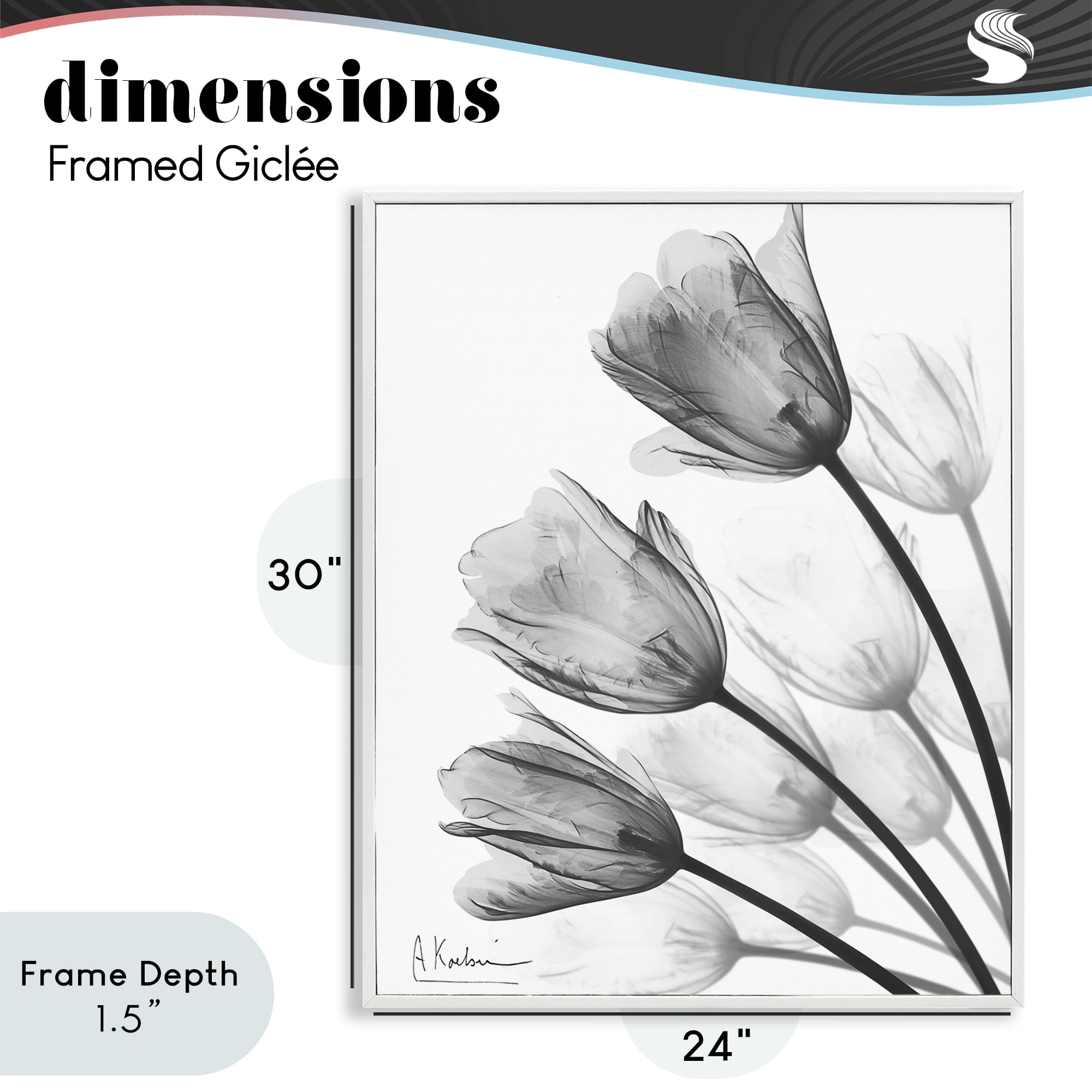Stupell Industries Minimalist Tulip Fan White Framed Giclee Art, design by Albert Koetsier