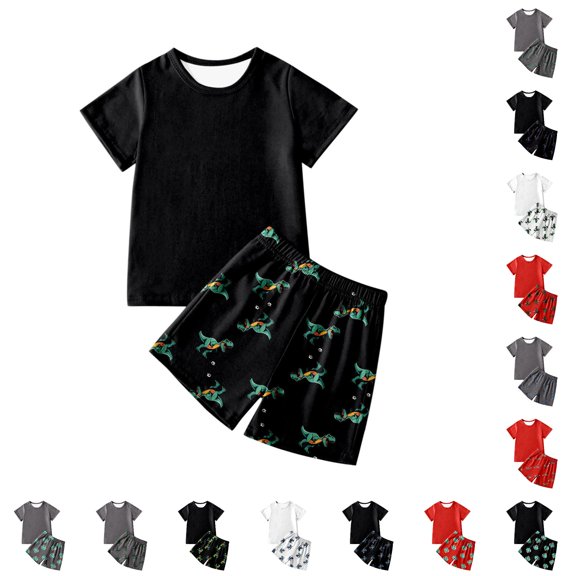 WhouRiu Boys Casual Outfits Short Sleeve Tees Dinosaur Graphic Shorts Sets Kids Summer Daily Clothes