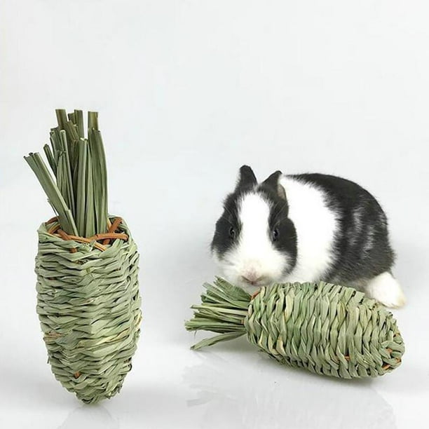 Hamster Rabbit Chew Toy Woven Pet Natural Grinding Green Radishes Radish Molar Playing Guinea Pigs Hamsters Care Rabbits Walmart