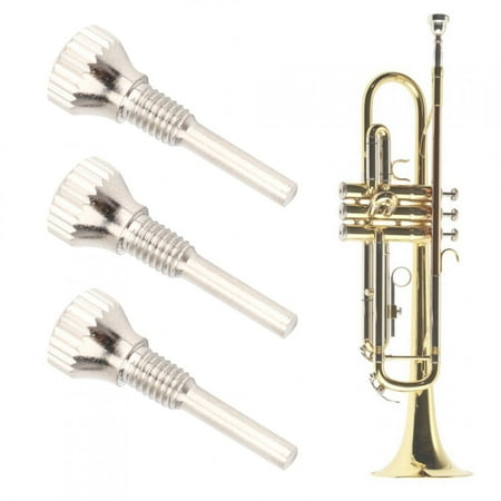

Durability Exquisite Craftsmanship Antiskid Screw Trumpet Pitch Pipe Banjo Saxophone For Home Trumpet Pitch Pipe