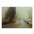thumbnail image 1 of Landscape Cutting Board, Forest with Serene Giant Tree Body in the Foggy Forest Yosemite Mist Woodland Print, Decorative Tempered Glass Cutting and Serving Board, Small Size, Brown, by Ambesonne, 1 of 1