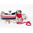 thumbnail image 4 of Plato de Acero Inoxidable Kate Spade New York Adventure Stripe Base Antideslizante 16oz para Perro P, 4 of 5