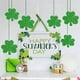 thumbnail image 4 of Decoraciones para el Día de San Patricio, Accesorios para el Día de San Patricio, Regalos para el Día de San Patricio, Decoración de la bandera de San Patricio, Artículos para fiestas, Banderas, Vesti, 4 of 8