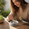 thumbnail image 6 of Pumice Bird Feeding Bowl with Beak Grinding Function, Natural Stone Food Dish for Parakeet Cockatiel Conure, 5.91 x 1.57 in, 6 of 7