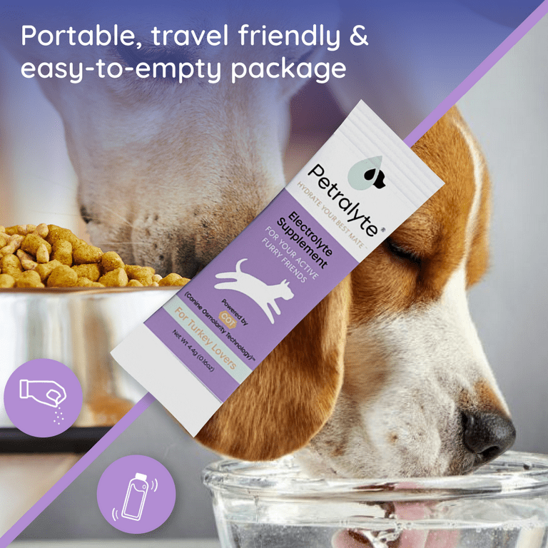 Electrolyte top for dogs