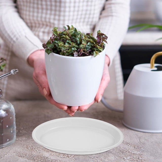 Moluckfu 4Ud Platos Para Macetas Ovalados Resistentes De Plástico Ideales Para Plantas En Oficinas Y