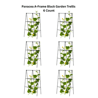 Titan Peony Supports Large Set of 2 - Walmart.com
