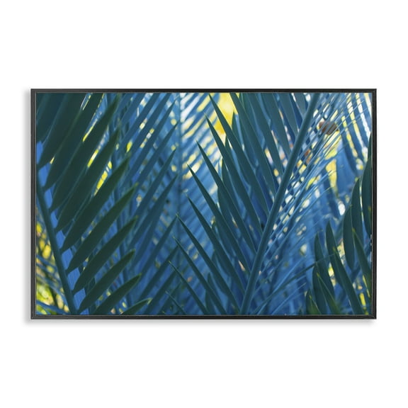 Stupell Industries Blue Palm Fronds Plants & Flowers Photography Black Framed Art Print Wall Art, 18 x 12