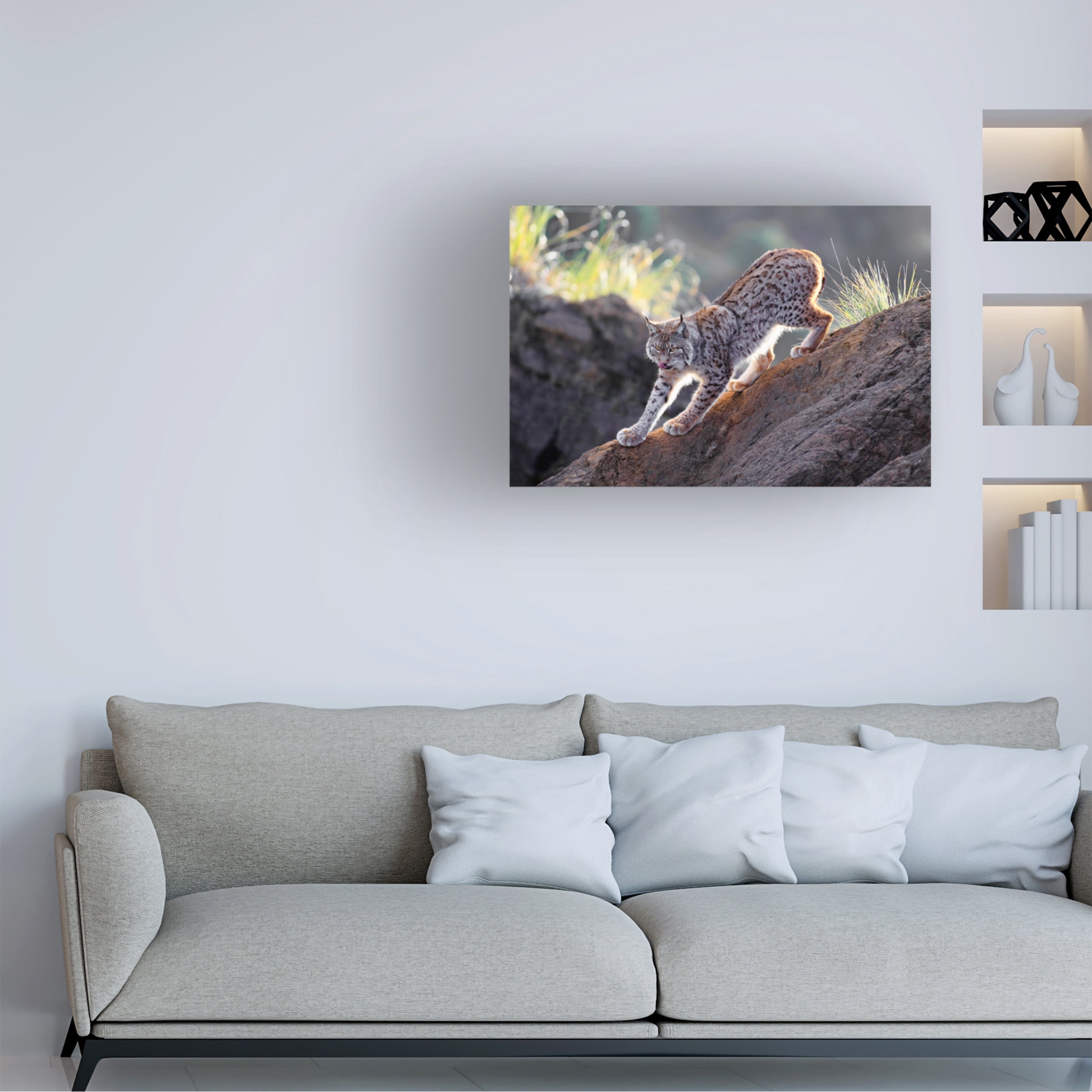 Gianfranco Barbieri 'Lynx At Sunset' Canvas Art