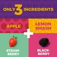 thumbnail image 6 of Zest Delites Fruit Leather Snacks, Berries Fruit Strips, Vegan, Pack of 10, 6 of 8