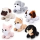 thumbnail image 1 of Juego de peluche HyDren de 6 minicachorros de 10 a 12 cm, 1 of 7