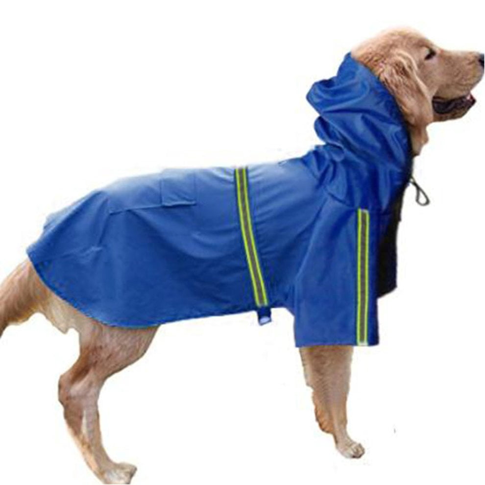 big dog raincoat