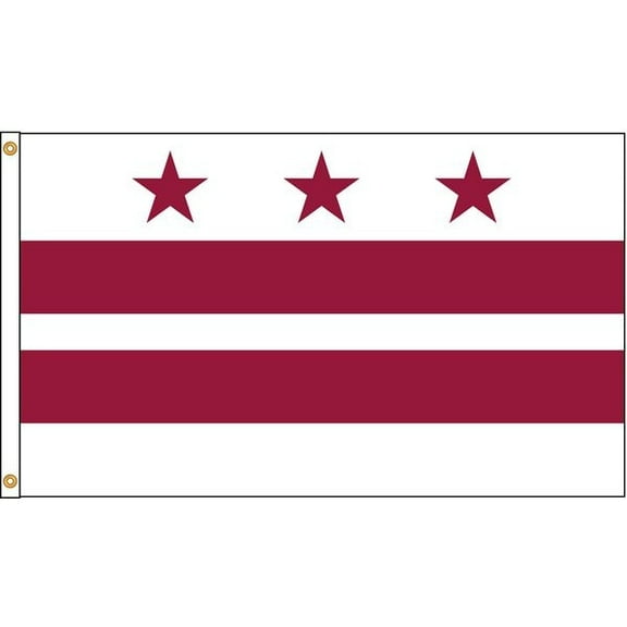 Annin Flagmakers District Of Columbia Flag,5x8 Ft,Nylon 146480