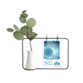 thumbnail image 1 of Jarrones colgantes de vidrio transparente Unbranded Decoración botella microcósmico, 1 of 4