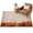 Brown, variant on Fall Leaves Area Rug 2'x3', Rustic Orange Maple Oak Leaf Pinecone Wood Grain Mat Non-Slip Silicone Backing Machine Washable Area Rugs for Front Door Kitchen Sink Area