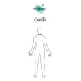 thumbnail image 4 of Camisa De Caballero Gop Nuevos Colores, 4 of 4