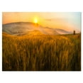 thumbnail image 2 of Tuscany Wheat Field at Sunrise - Landscape Artwork Canvas, 2 of 3