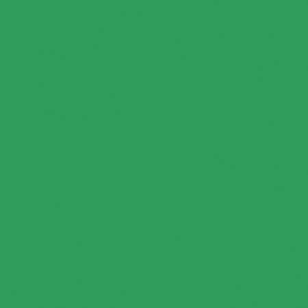 - Riverside Groundwood Pulp Heavyweight Recycled Construction Paper, 76 lb, 9 x 12 Inches, Holiday Green, Pack of 50