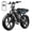 R9-Black-2*15AH, variant on TST Electric Bike for Adults, 750W Peak 1500W Motor, 20"x4" Fat Tire E Bicycle, E Mountain Bike, 48V/15AH UL2849, App Control