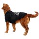 thumbnail image 1 of s 3 piezas suéter para mascotas ropa para perros suéter con capucha ropa para mascotas S, 1 of 5