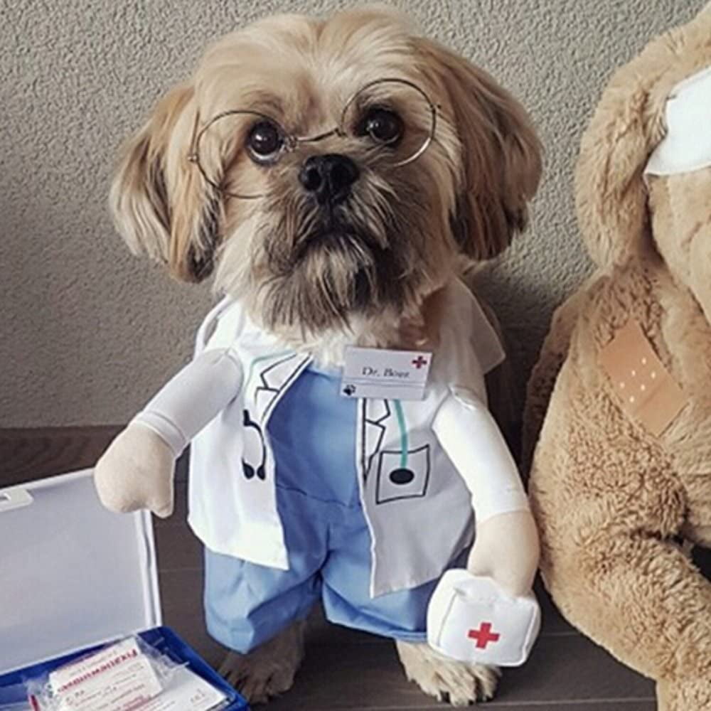 dr costume for dog
