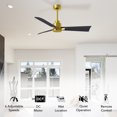 thumbnail image 3 of Matthews Fan Company AK-BRBR-BK-56 Alessandra 56” Brushed Brass Ceiling Fan with 3 Matte Black Blades, Remote Control, Indoor/Outdoor Wet Rated, 3 of 6