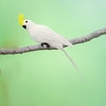 thumbnail image 4 of Fake Macaw Artificial Birds Model Sculpture Feather Parrot Macaw Artificial Bird White, 4 of 8