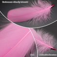 thumbnail image 3 of 400PCS Pink Feathers 3-7 inch, 4 Styles Assorted Feathers for DIY Crafts Wedding Halloween Costume Party Decorations Dream Catcher Supplies, 3 of 7