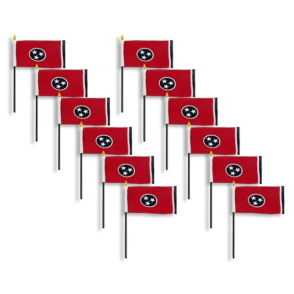 Tennessee flag 4 x 6 inch - 12 PK