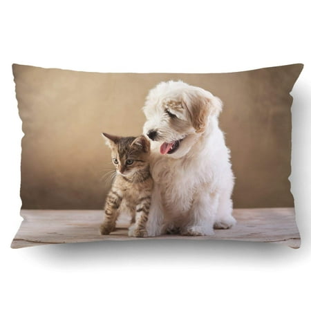 BPBOP Best friends kitten and small fluffy dog Pillowcase Throw Pillow Cover Case 20x30