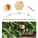 thumbnail image 2 of WORGEOUS 1pc Cuchara de bambú de mango largo Cuchara de té japonesa Cuchara de madera Cuchara de agua, 2 of 8