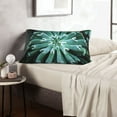 thumbnail image 6 of Balery Teal Cactus Bedding Queen Pillow Cases - Envelope Closure - Soft Brushed Microfiber Fabric - Shrinkage and Fade Resistant Pillow Cases-20"x30", 6 of 6